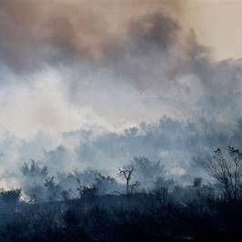 LA Fires Could ‘Take Off’ Again, Fire Chief Tells BBC, with High Winds Expected