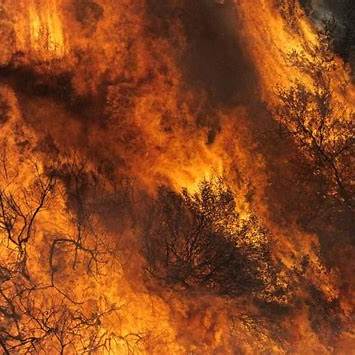 Los Angeles Wildfires Live Updates: 5 Dead, Fires Spread Across Multiple Areas